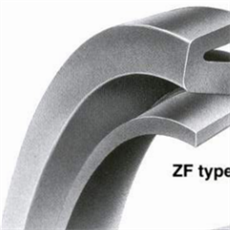Oil seal ZF